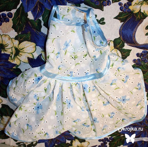 Выкройка платья для собаки